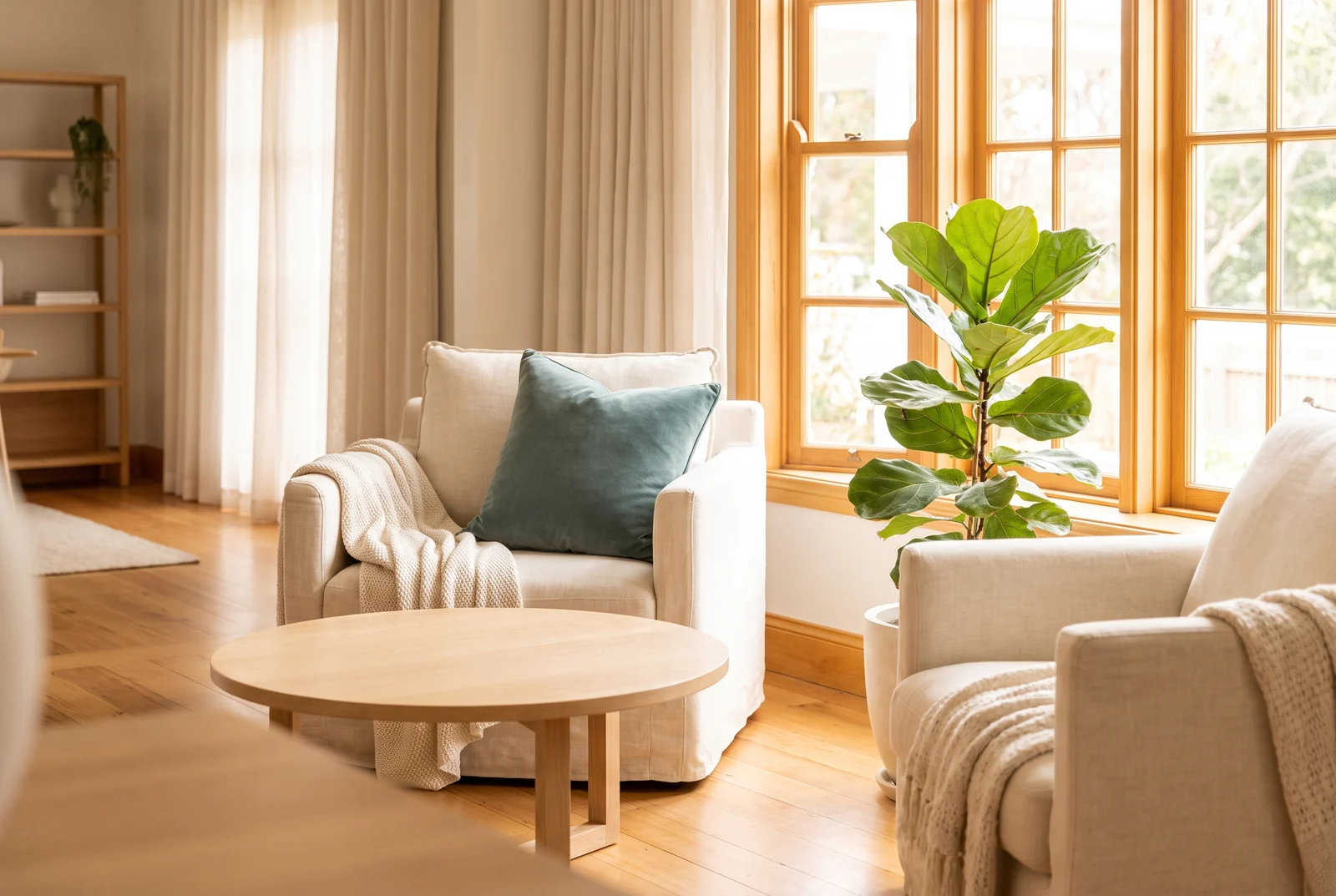 Two cream armchairs with a teal cushion beside a round oak table in a bright room with large windows and a fiddle-leaf fig.